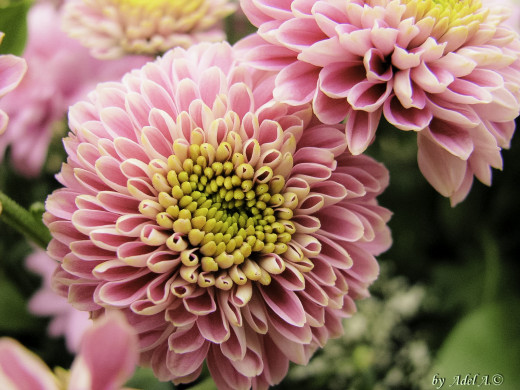 519188 (a): :1600x1200